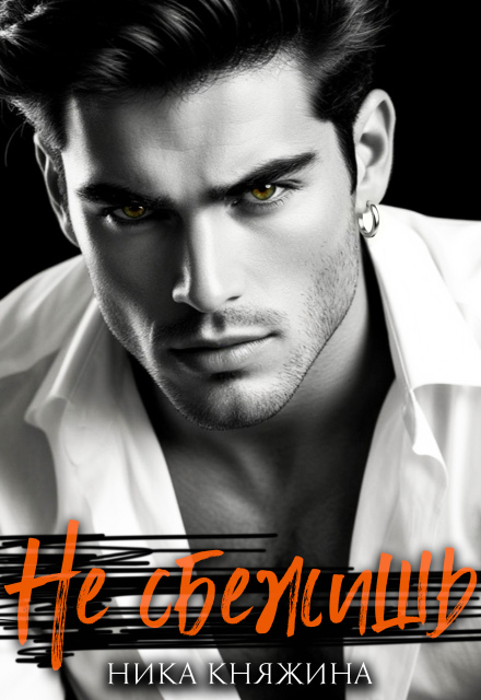 Читать онлайн полностью книгу «Не сбежишь» Ника Княжина бесплатно